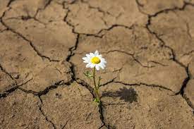 The Truth About Emotional Healing: Moving Beyond&nbsp;Pain